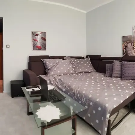 Apartament Plush Studio Self Check-in 24h Lejlighed